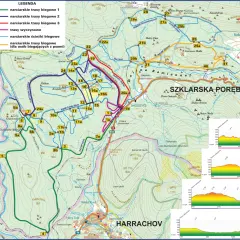 Gdzie na narty biegowe? Najlepsze trasy i miejsca w Polsce i za granicą