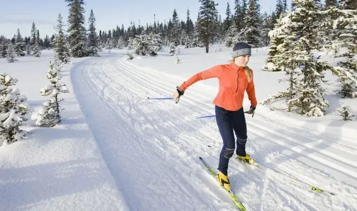 Gdzie na narty biegowe dla początkujących: najlepsze trasy w Polsce