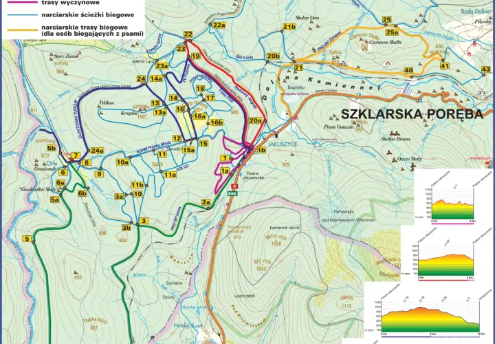 Gdzie na narty biegowe? Najlepsze trasy i miejsca w Polsce i za granicą